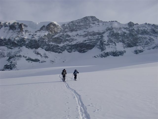 Rimpfschhorn