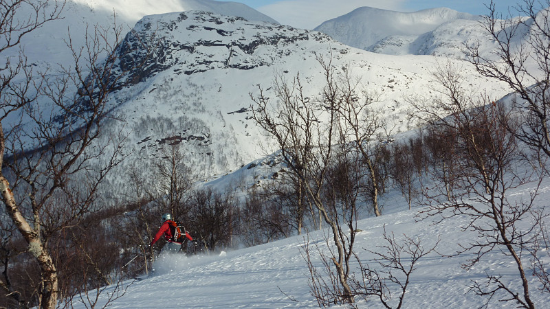 Bonne neige en forêt