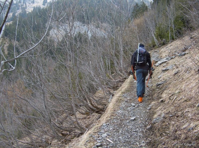 Le chemin d'été pour Le Ricahrd ... en condition d'été !