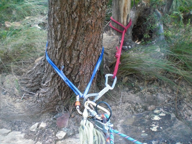Le relais de R3 sur arbres...