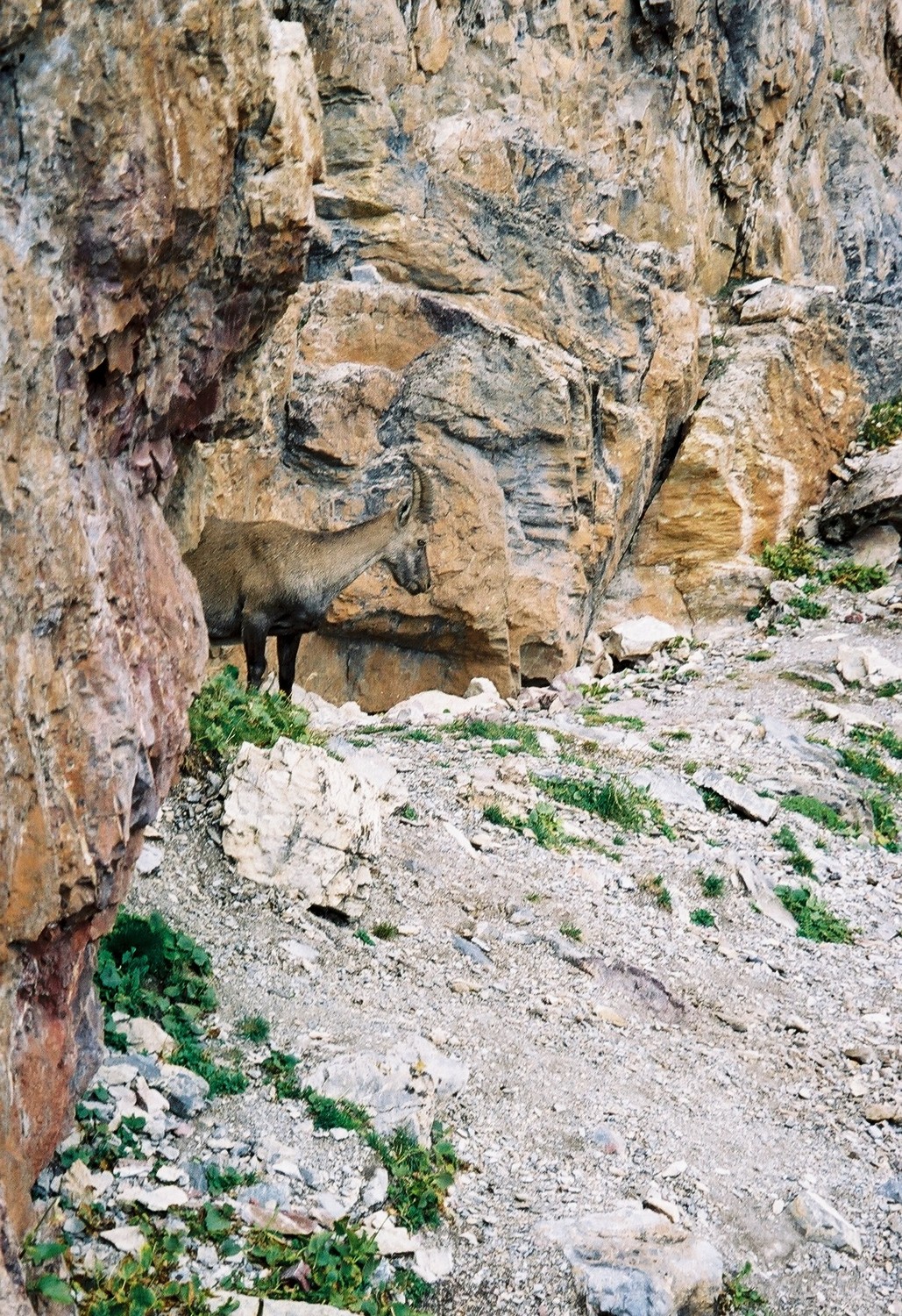Un hôte des lieux, que nous dérangions manifestement
