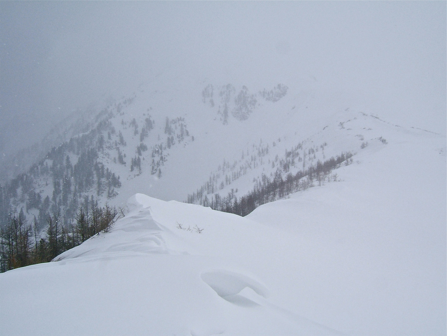 Le vent forci, et la neige revient.