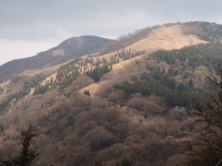 Sansujiyama