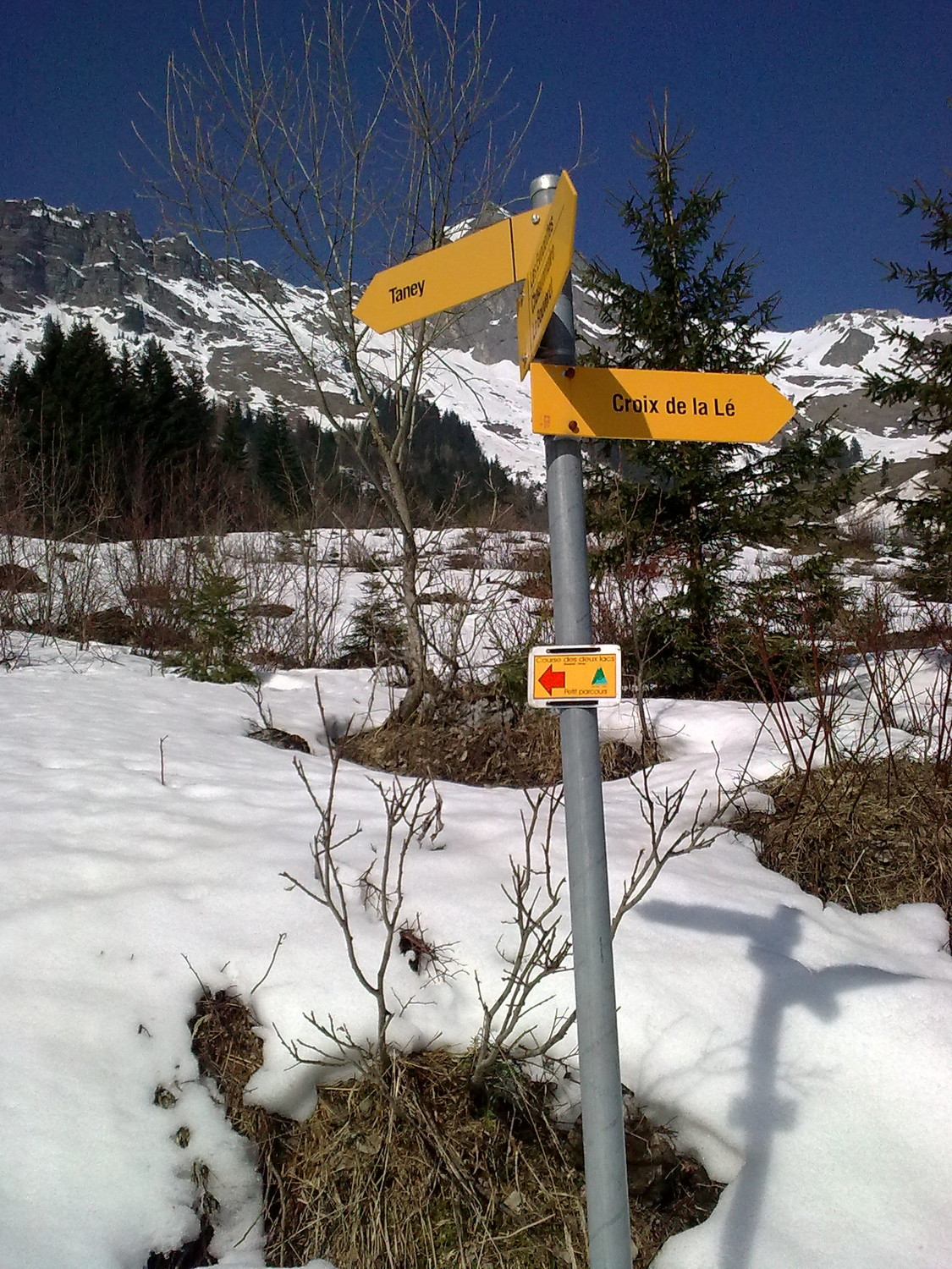 Fin de la descente