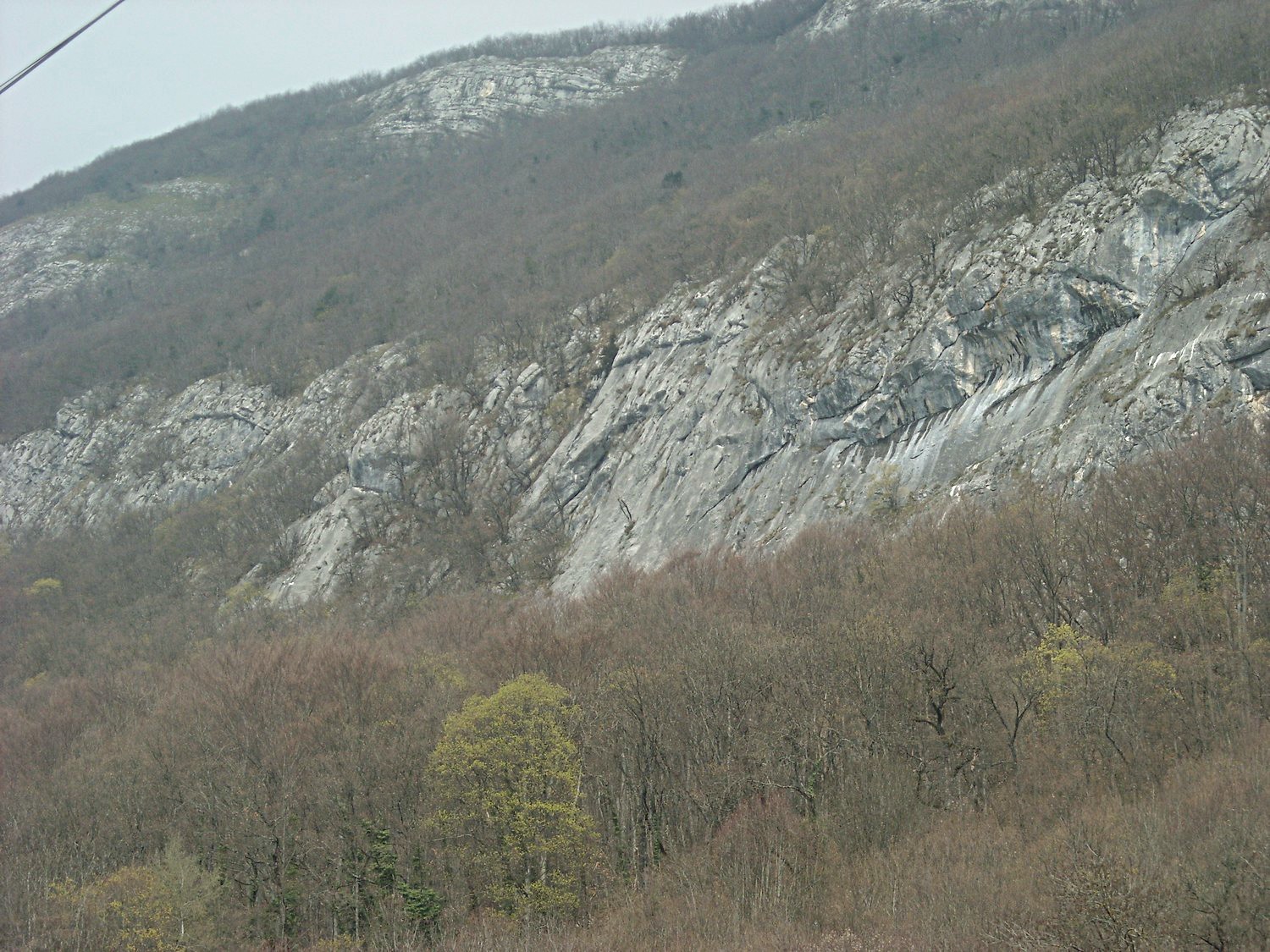 Vue générale du site.