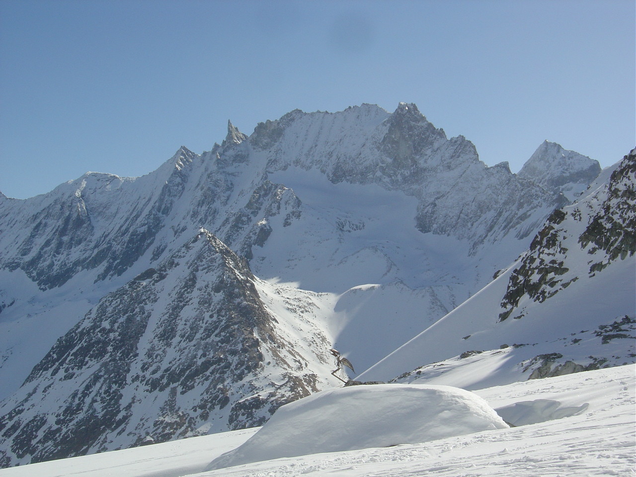 Un drôle d'oiseau sur le mamelon blanc devant l'Aiguille de la Tsa au fond.