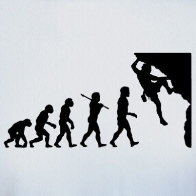 évolution