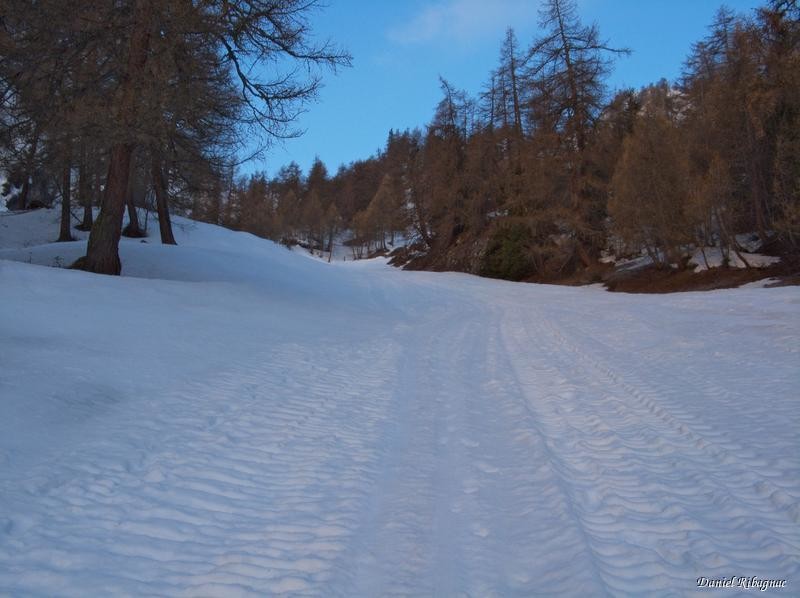 Montée par les pistes d'Ovronnaz