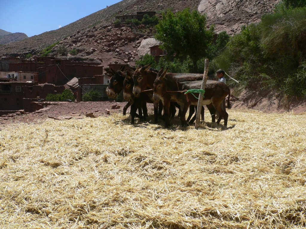 battage village tassila