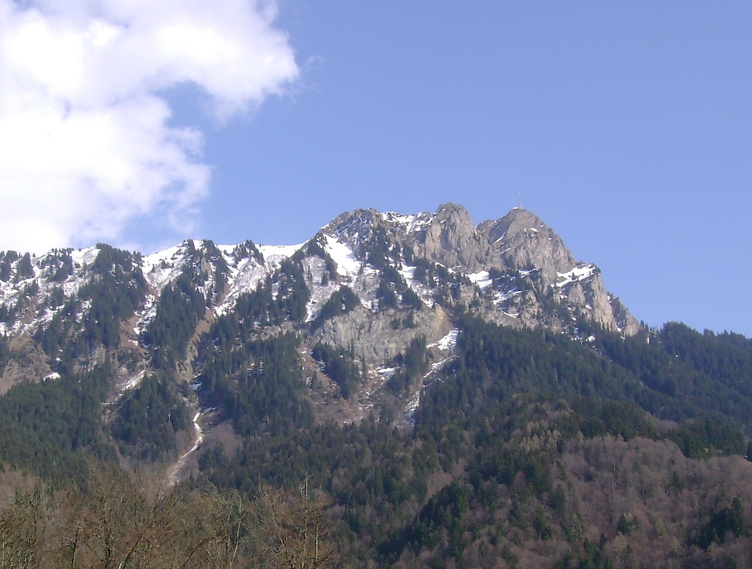 Le Chamossaire (vue NW)