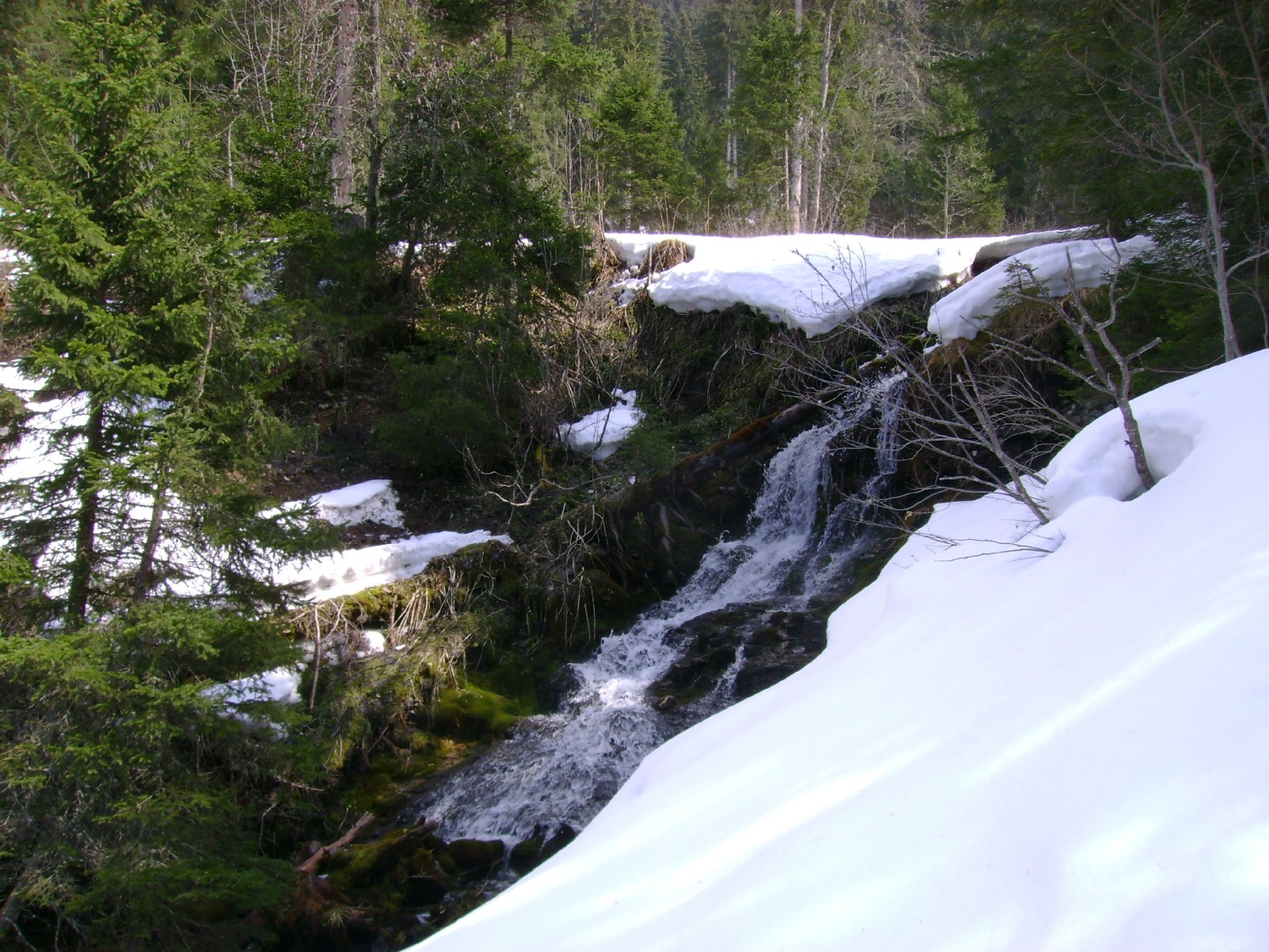Dégel