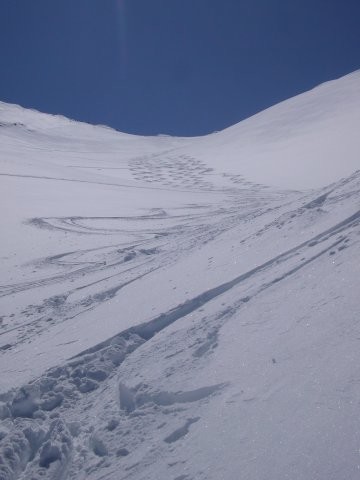 Descente dans un champ de poudreuse vierge