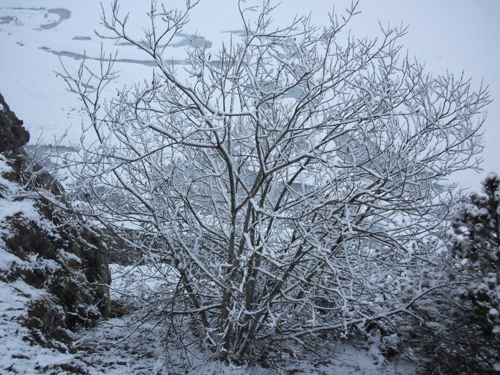 LA MATTINA IN ENGADINA