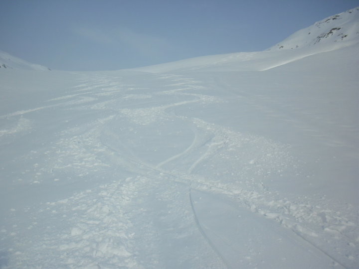 SERPENTINE IN DISCESA