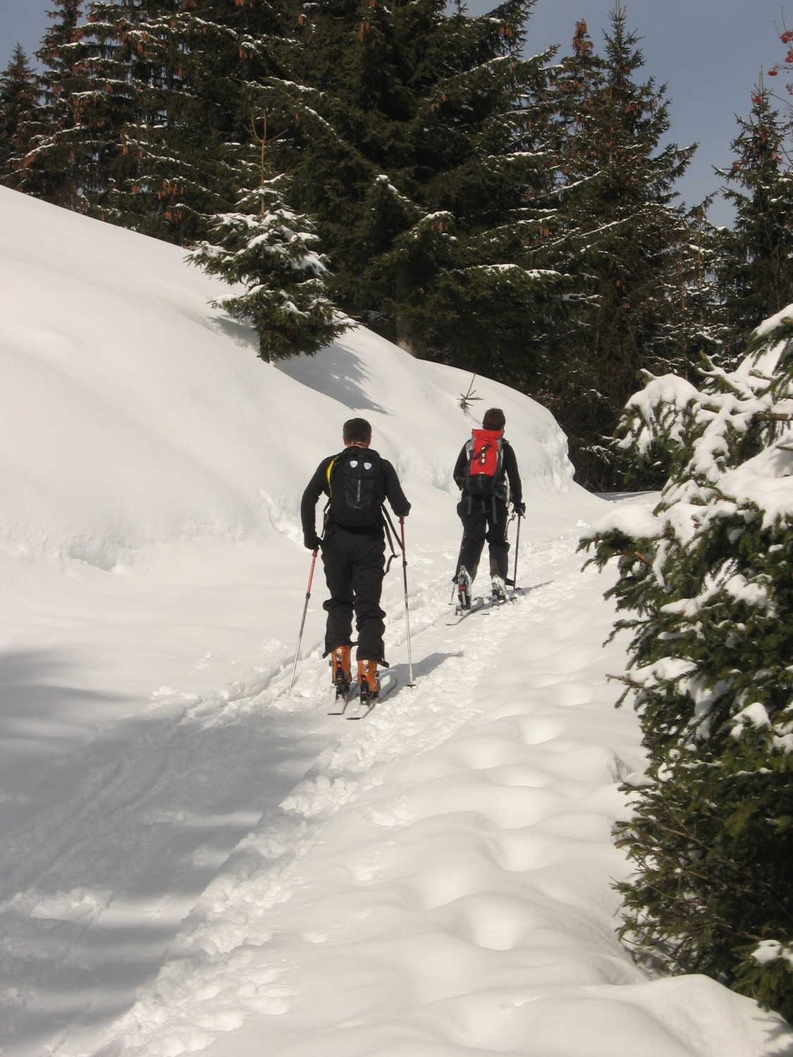 Montée tranquille sur le chemin d'alpage