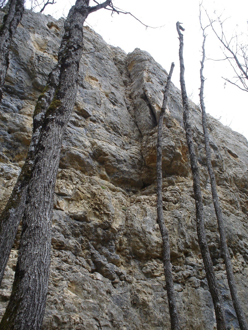 ChaneyBruyères