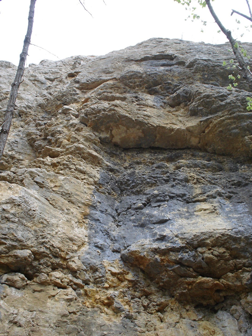 BruyèresJoli6a