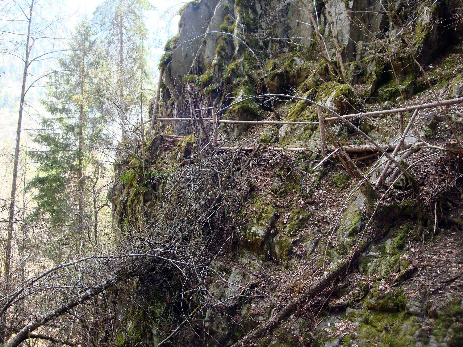 Bisse des Sarrasins
