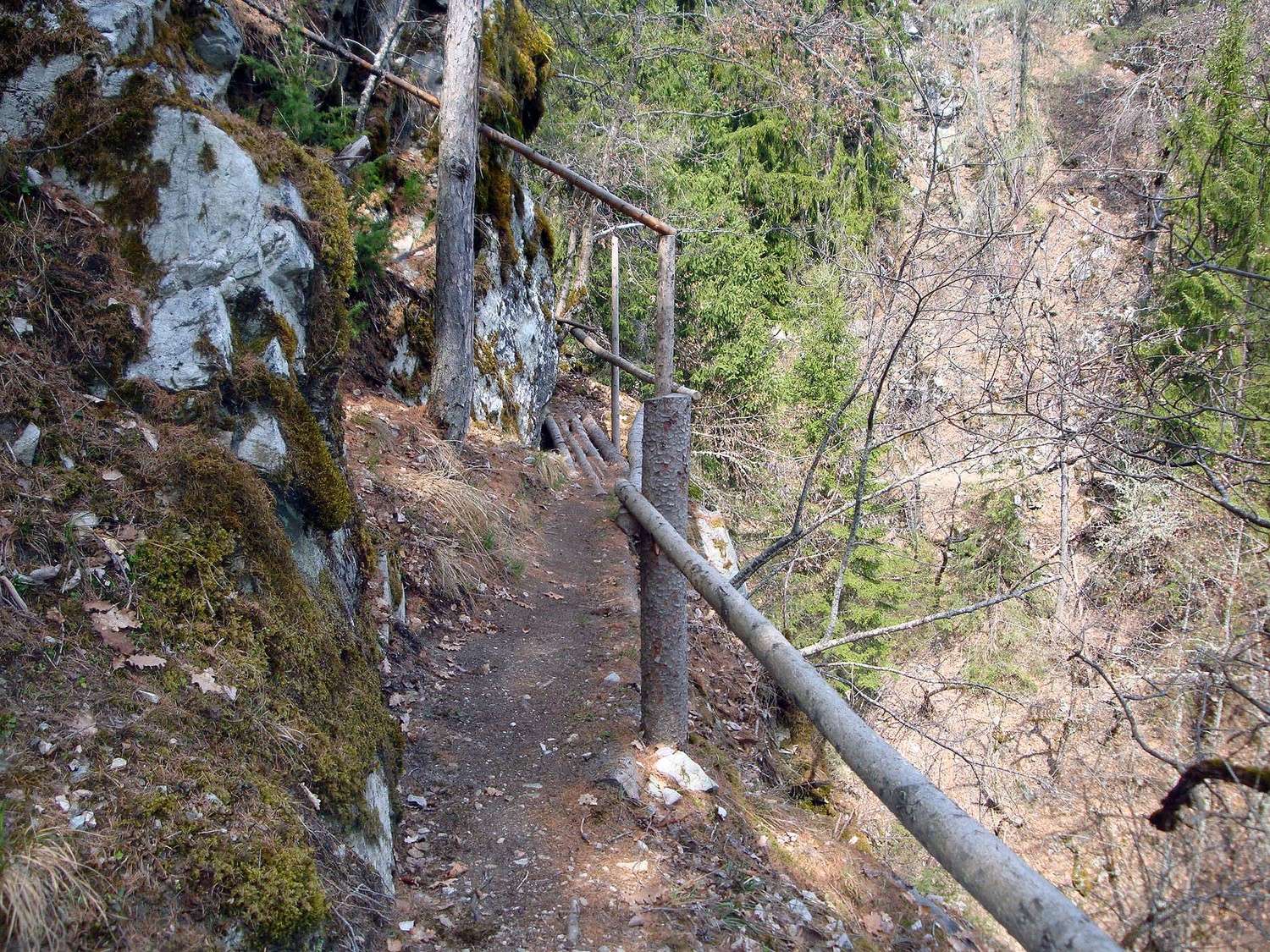 Bisse des Sarrasins
