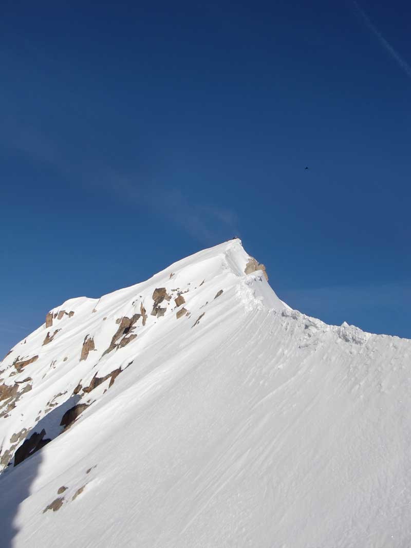 Aiguille Verte