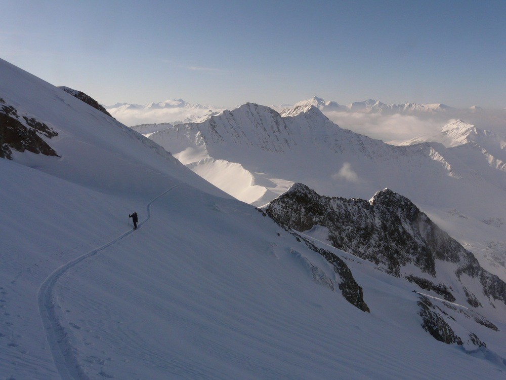 Epaule N de l'Aiguille des Glaciers depuis le Val Vény