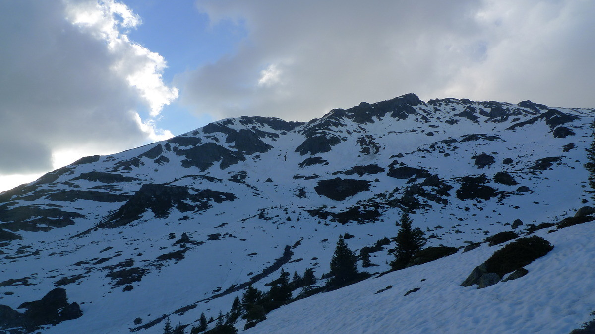 conditions jas des lièvres