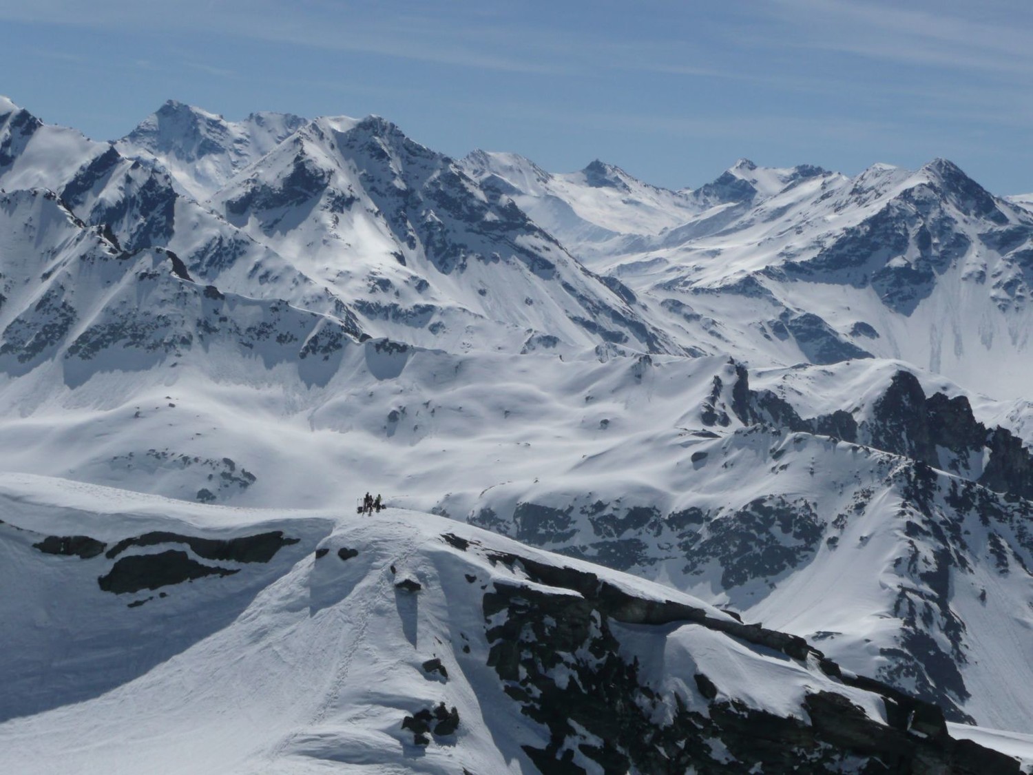 Antécime de la Louïe Blanche