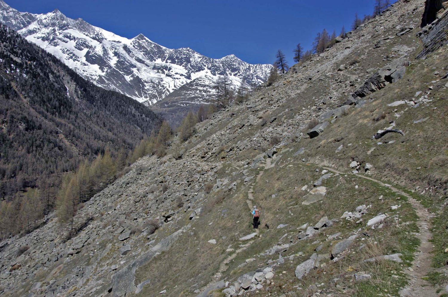 Bisse de Moosgufer