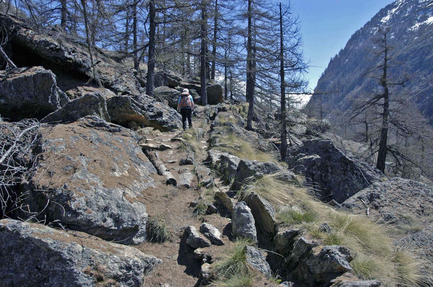 Bisse de Moosgufer