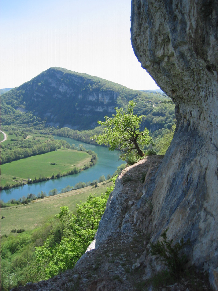 Jarbonnet