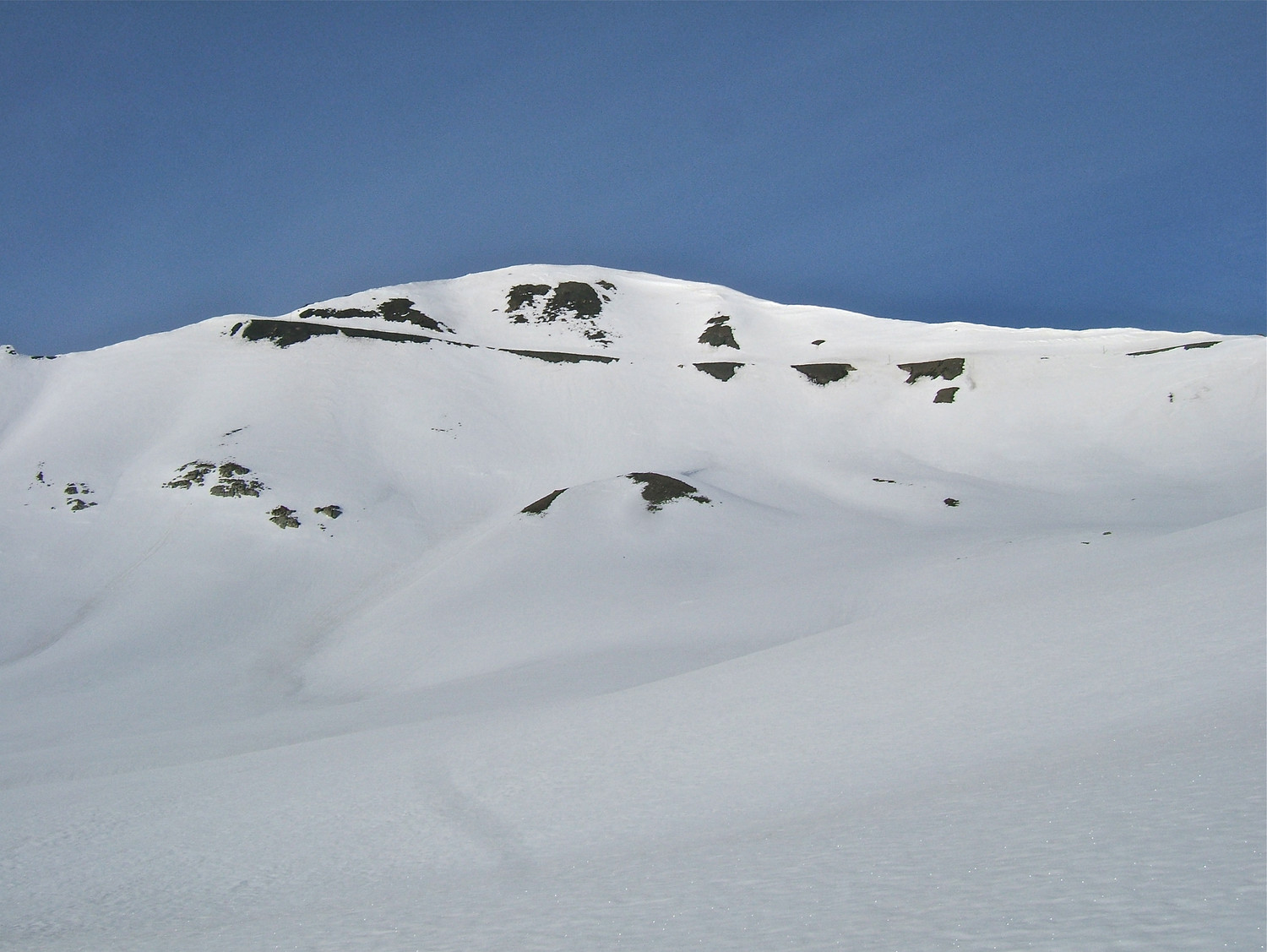 La pente sommitale de descente de la Cime de la Bonette.