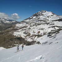 le Piméné