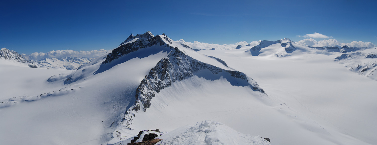 Panorama dalla Lobbia Alta 3195 m, verso il Dosson di Genova 3441 m, con le tracce di motoslitta sul ghiacciaio!!