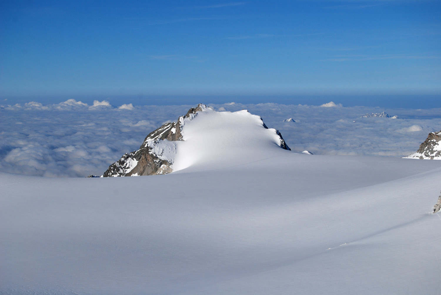 Il Corno Miller 3373 m visto dal Corno Bianco 3434 m.