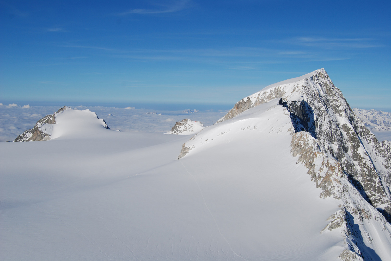Monte Adamello 3554 m a destra, e Corno Miller 3373 m, visti dal Corno Bianco 3434 m.