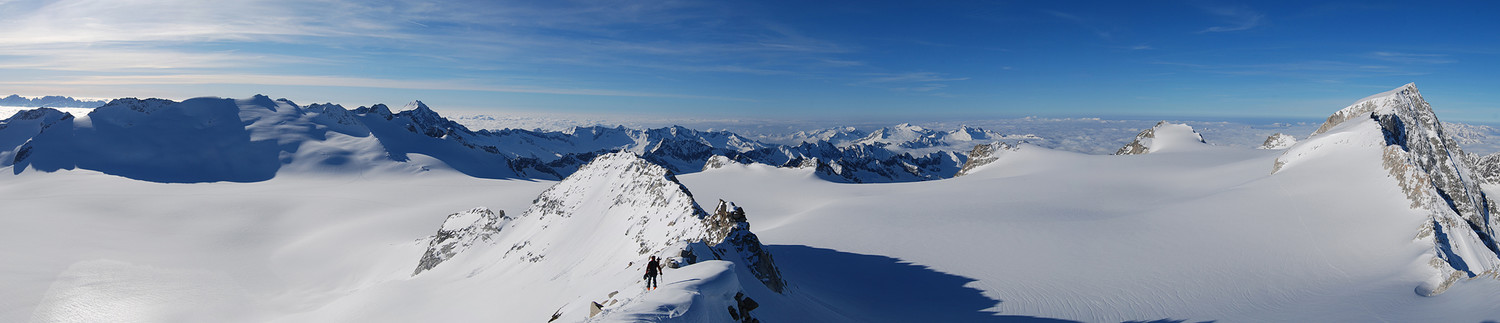 Il vasto Ghiacciaio dell'Adamello con le cime del Brenta a sinistra, fino all'Adamello a destra, visti dal Corno Bianco 3434 m.
