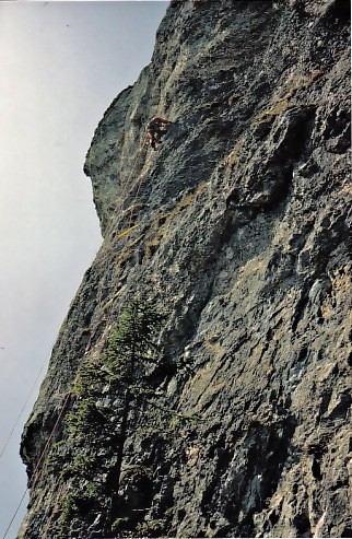 Janvier 1981: ouverture au Mt de Baulmes
