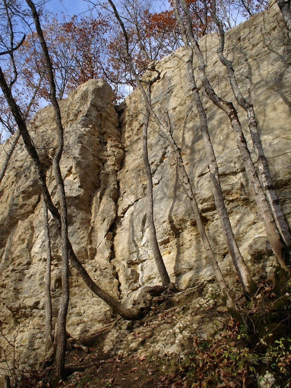 Dièdre Jane-Marie 4b