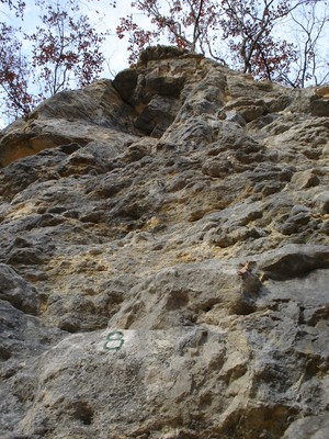 Epaules de moineau 5c