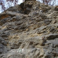 Epaules de moineau 5c