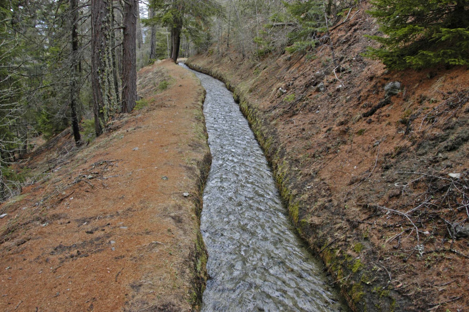 Bisse Niwa