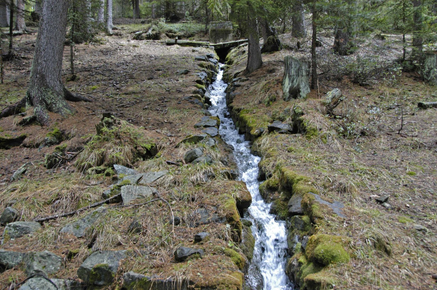 Bisse en pente...