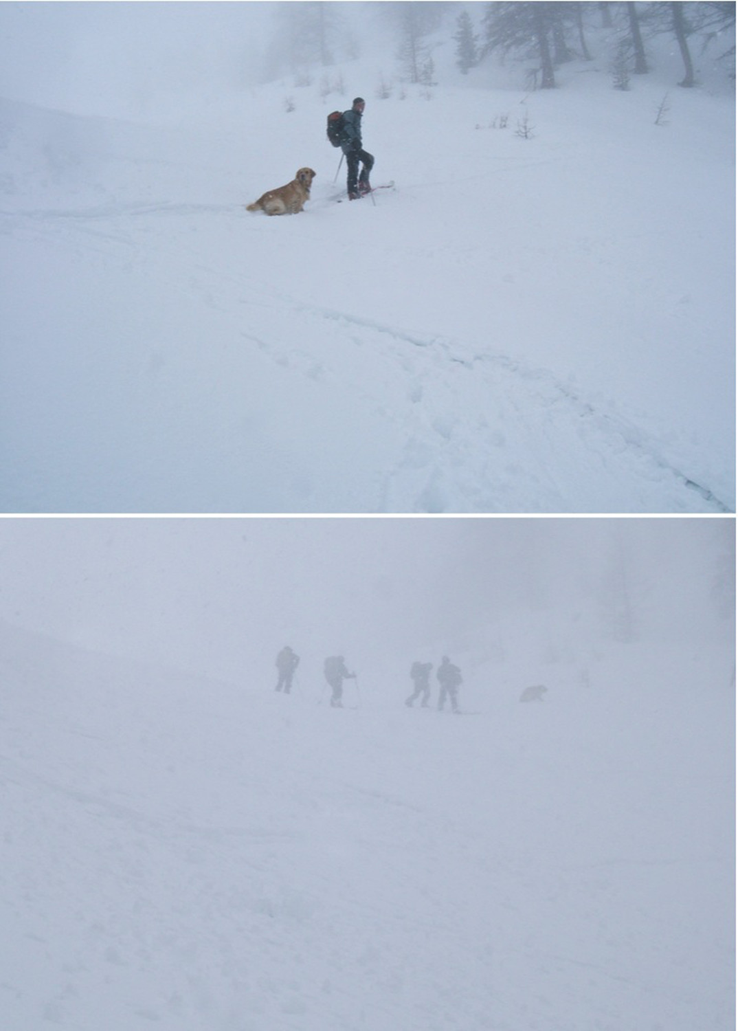 Franc et ses compagnons lors de la descente.