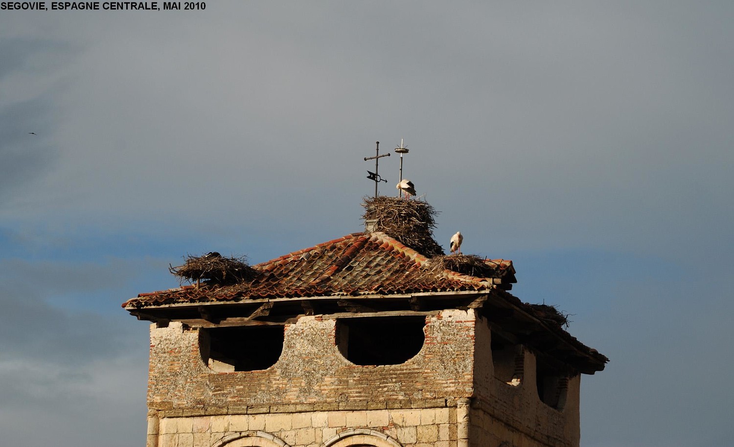 Eglise San Vicario (Segovie), cigognes