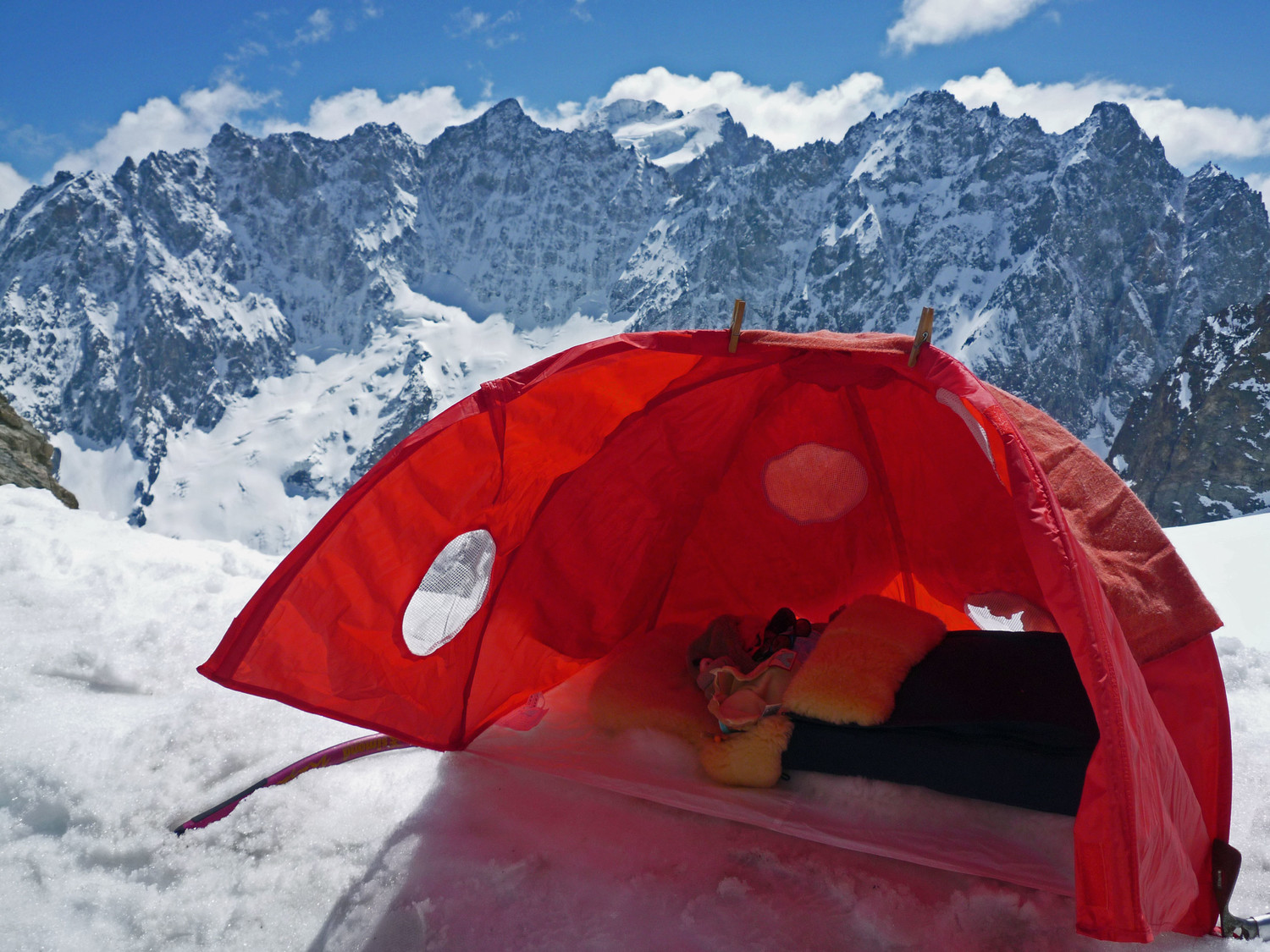 Mouflette sur fond de Barre des Ecrins