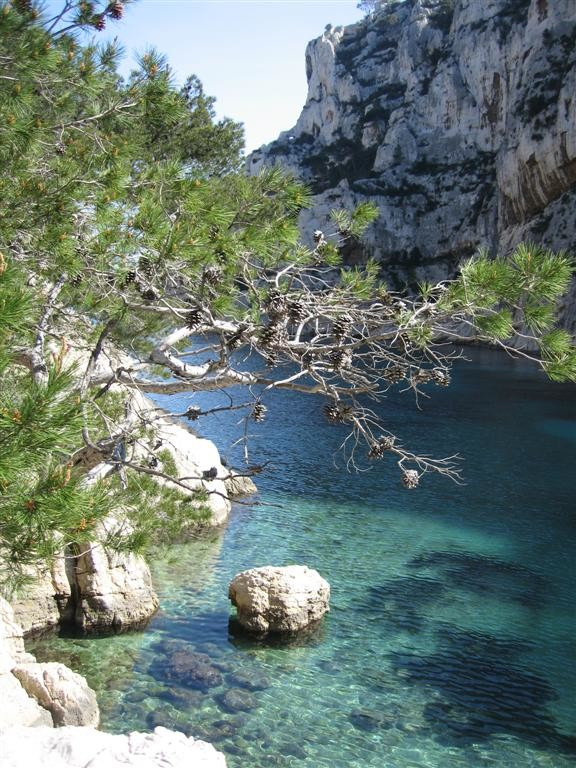 eau turquoise