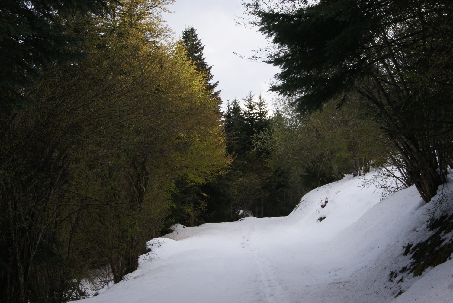 Rayon de soleil sur la piste en montant