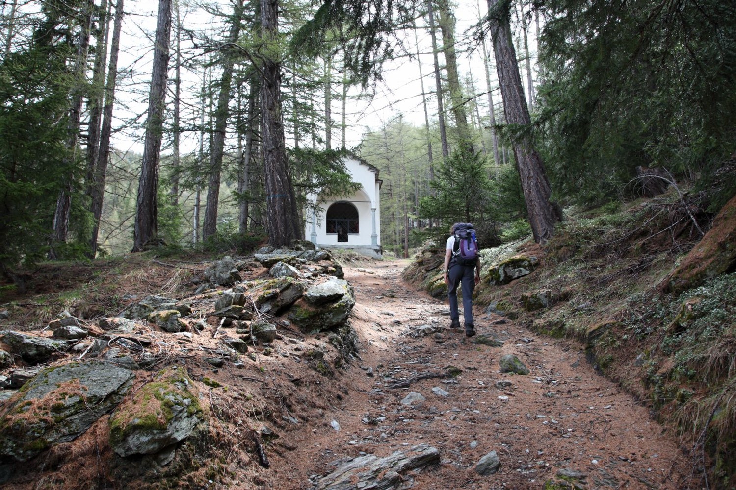 Chemin des Chapelles, Visperterminen