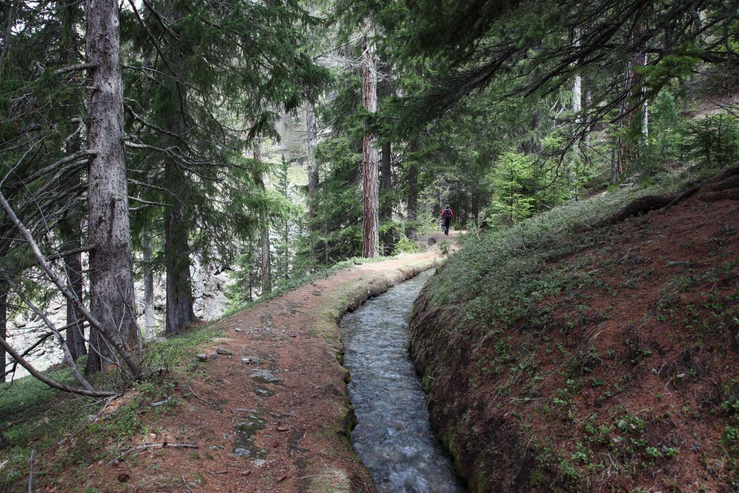 Bisse de Bodmeri