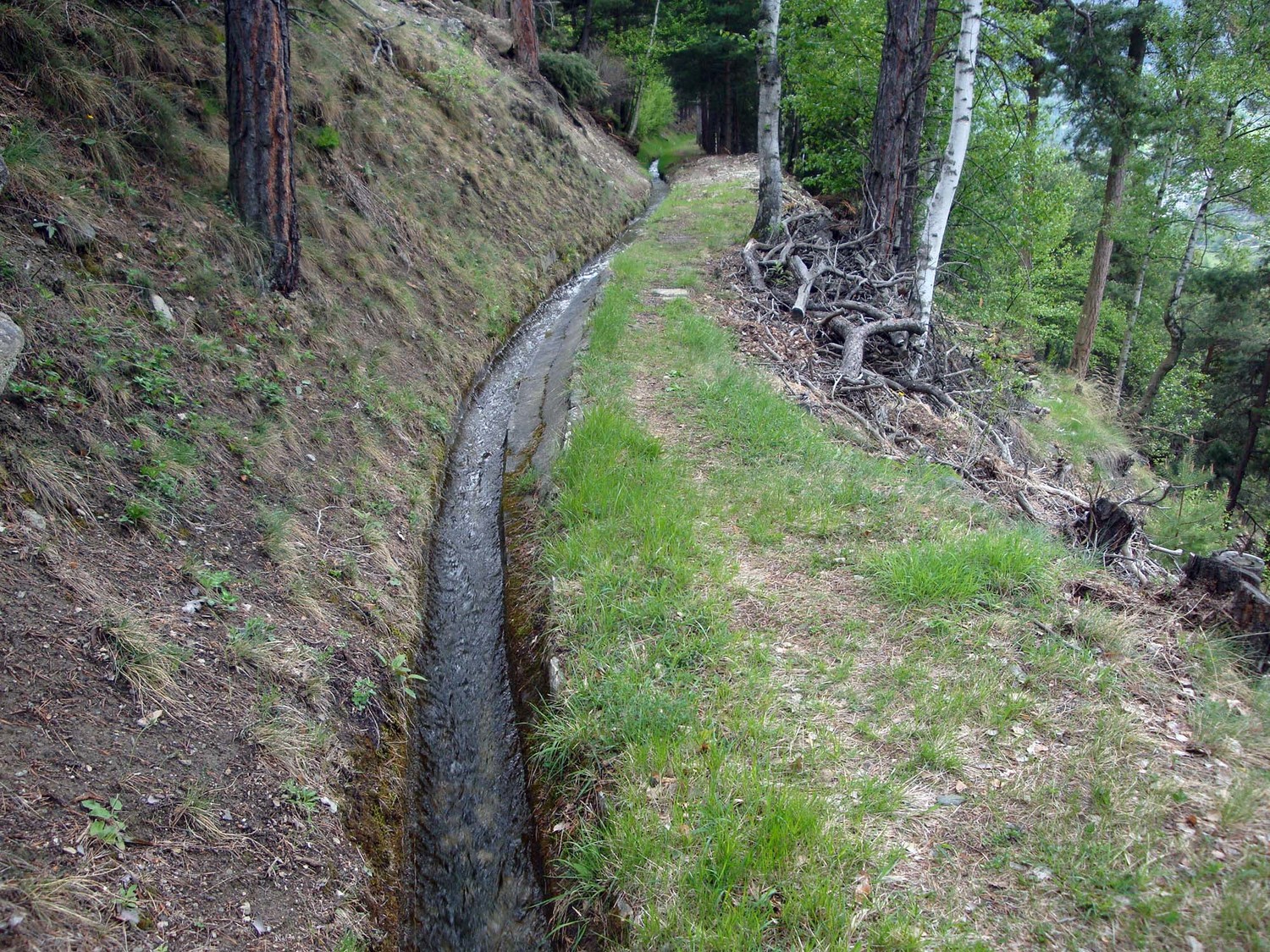 Bisse de Mühlackeri